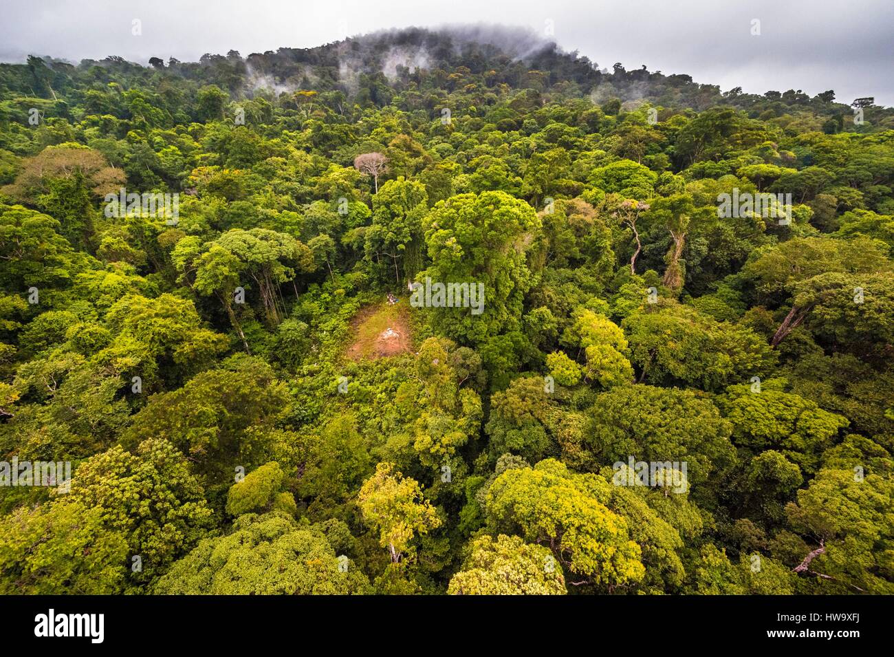 France, Guyane, Guyane Française Parc Amazonien, secteur de coeur, le sommet de la montagne de Itoupe (830 m), saison des pluies, vue aérienne de la forêt de nuages à partir de l'hélicoptère de transport de l'équipe scientifique Banque D'Images