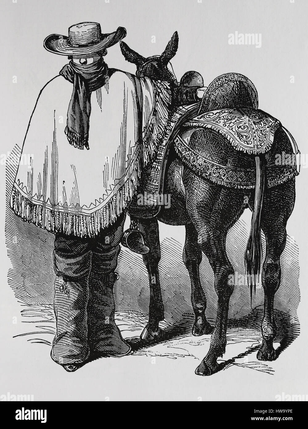 Péruvien typique traveler avec cheval. Robe traditionnelle. Vers 1845, 19e siècle. La gravure, l'illustration. Banque D'Images
