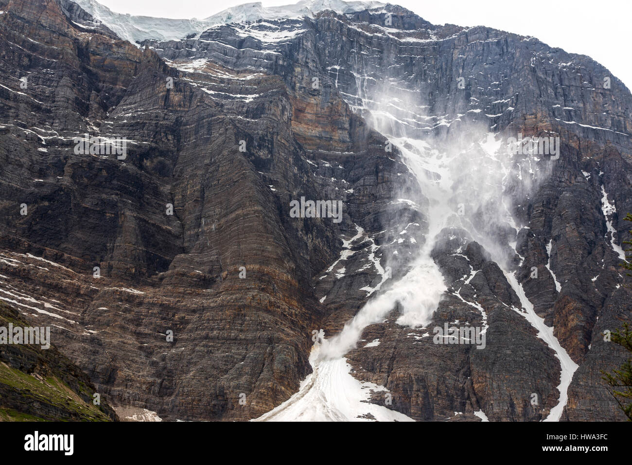Avalanche de fonte des neiges printanière. Paysage de falaises rocheuses sauvages, pic du Temple Mountain Parc national Banff Alberta Canada Banque D'Images