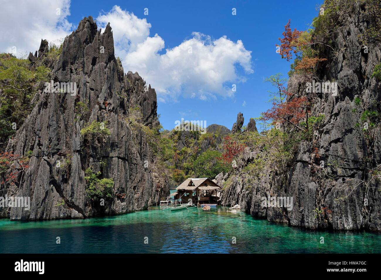 Philippines, Îles Calamian dans le nord de Palawan, l'Île Coron, zone biotique naturel lagoon et du Permien d'origine calcaire jurassique des falaises Banque D'Images