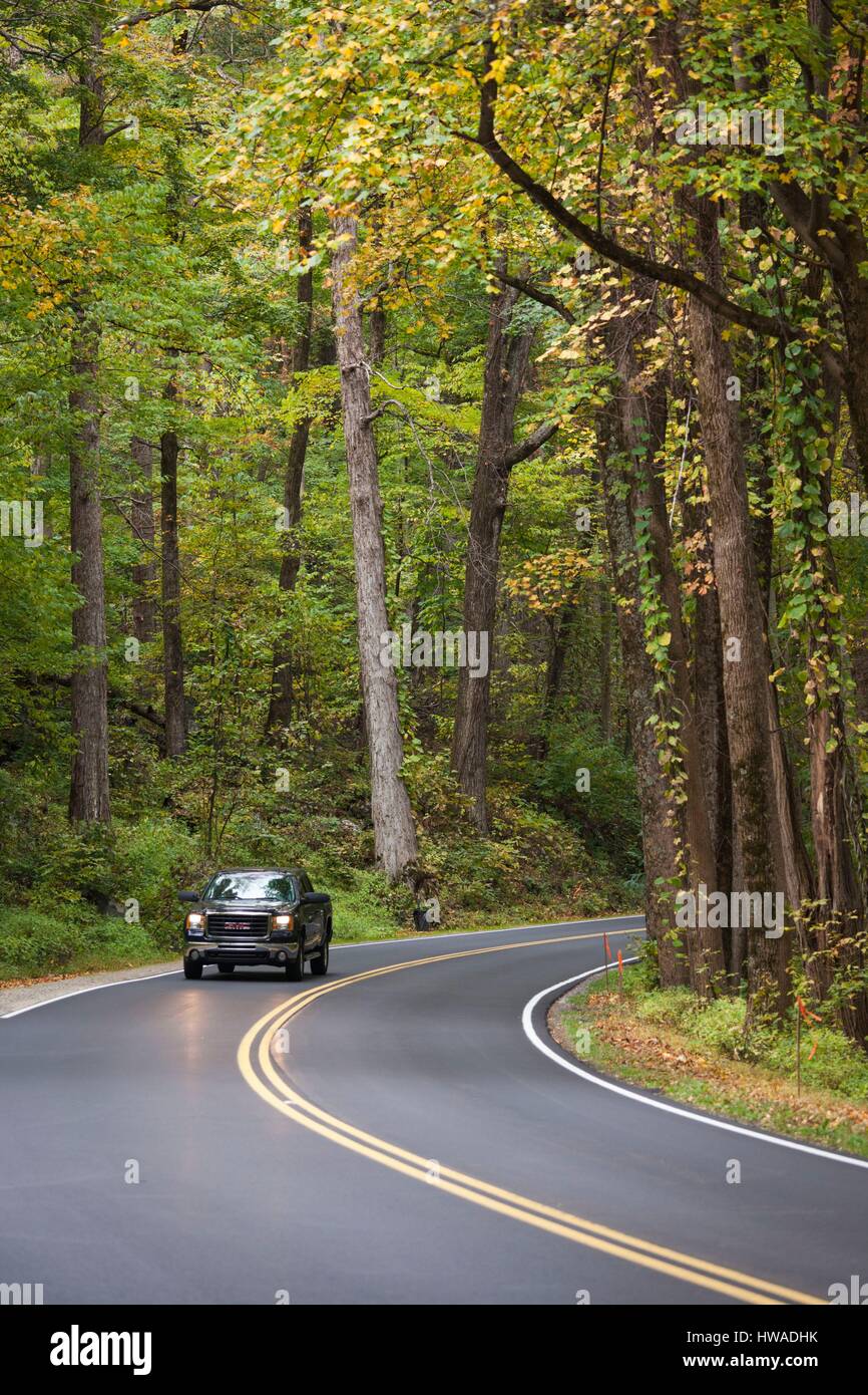 United States, North Carolina, Great Smoky Mountains National Park, Newfound Gap Road, route 441, automne Banque D'Images