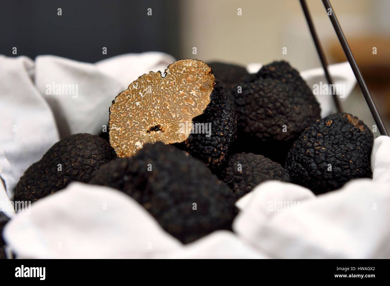 France, dordogne, Périgord blanc, Périgueux, Place Saint-Silain, l'espace du 6ème sens restaurant et l'épicerie, la truffe d'été (Tuber aestivum) Banque D'Images