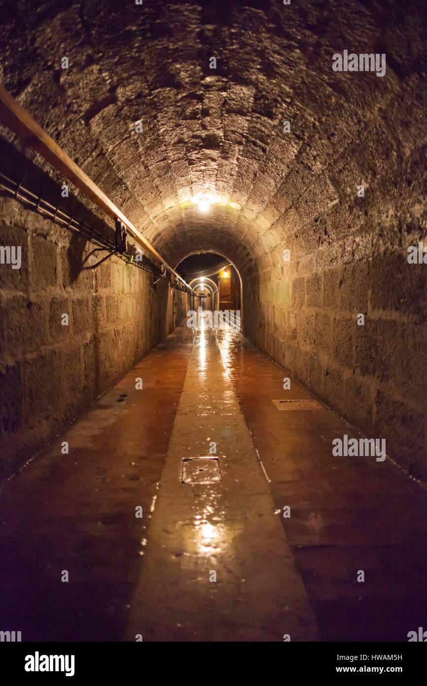 Germany, Bavaria, Bad Reichenhall, Alte Saline, saline, ancien passage souterrain. Banque D'Images