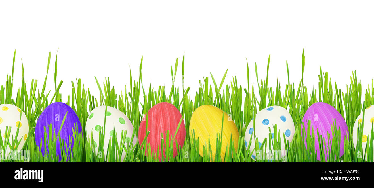 Les œufs de Pâques et de l'herbe frontière sur fond blanc. Modèle sans couture. Banque D'Images