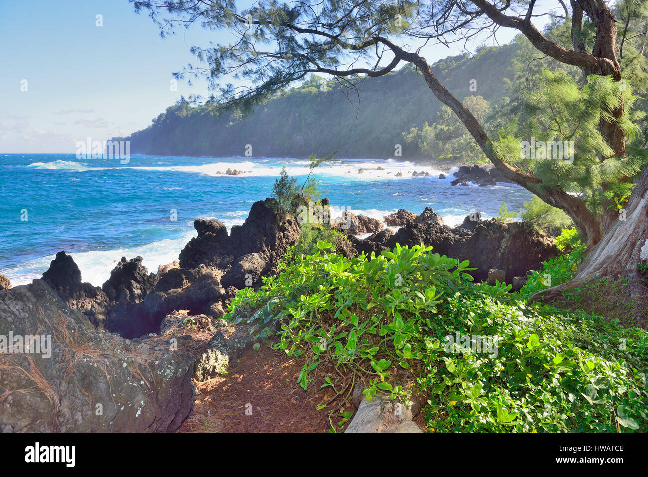 L'océan Pacifique et des roches de lave dans la région de Laupahoehoe Beach Park dans la grande île d'Hawaï Banque D'Images