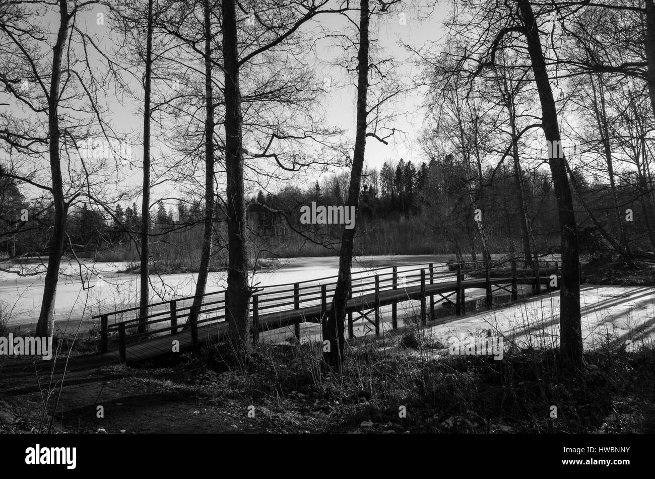 Photo de la nature et du paysage de l'hiver suédois. Belle à l'extérieur et pont de bois sur le lac de glace. Calme et paisible de l'image monochrome Banque D'Images