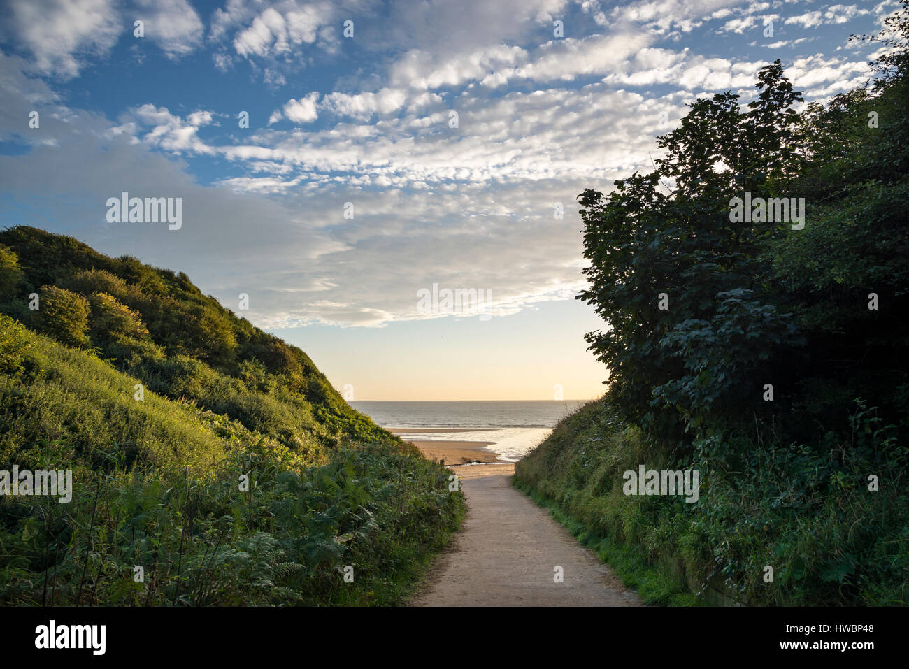 Chemin menant à Hunmanby sables sur un beau matin. Filey Bay, North Yorkshire, Angleterre. Banque D'Images