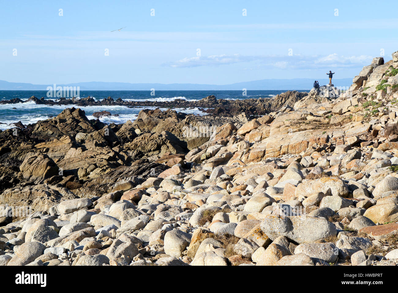 La côte rocheuse le long 17-Mile Drive, péninsule de Monterey, California, United States Banque D'Images