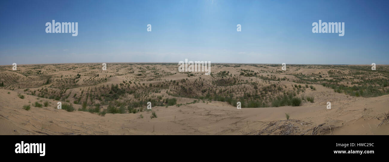 Dunes de sable dans un désert, Désert de Kubuqi, Ordos, Inner Mongolia, China Banque D'Images