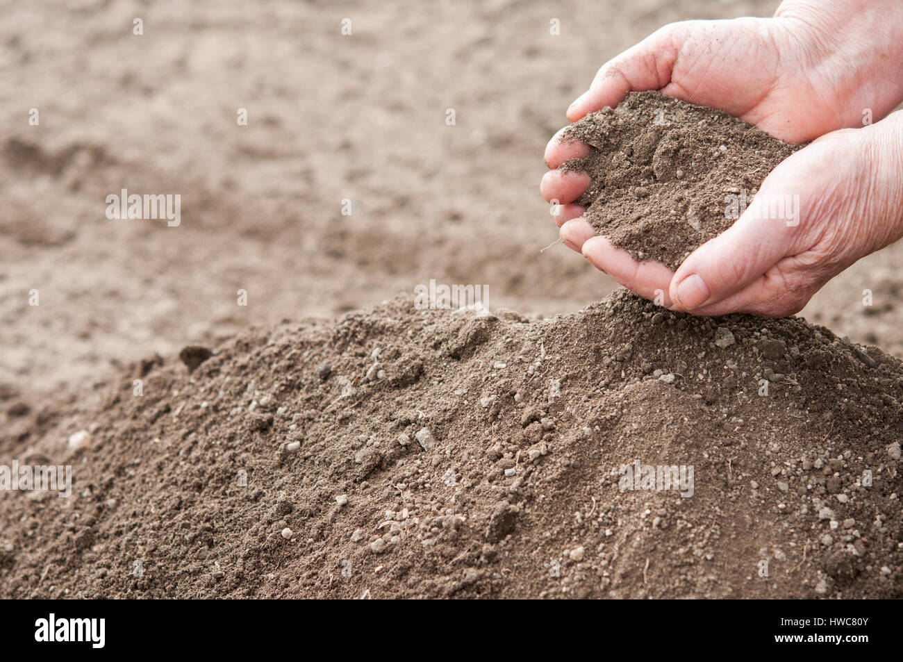 Sol en vieille femme mains- close up Banque D'Images