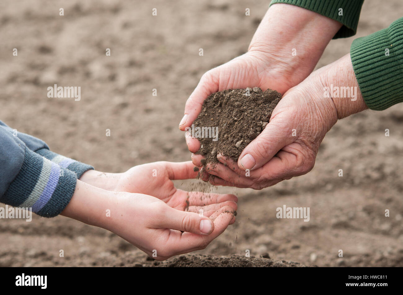 Vieille Femme le sol dans les mains et le mettre dans les mains de l'enfant Banque D'Images
