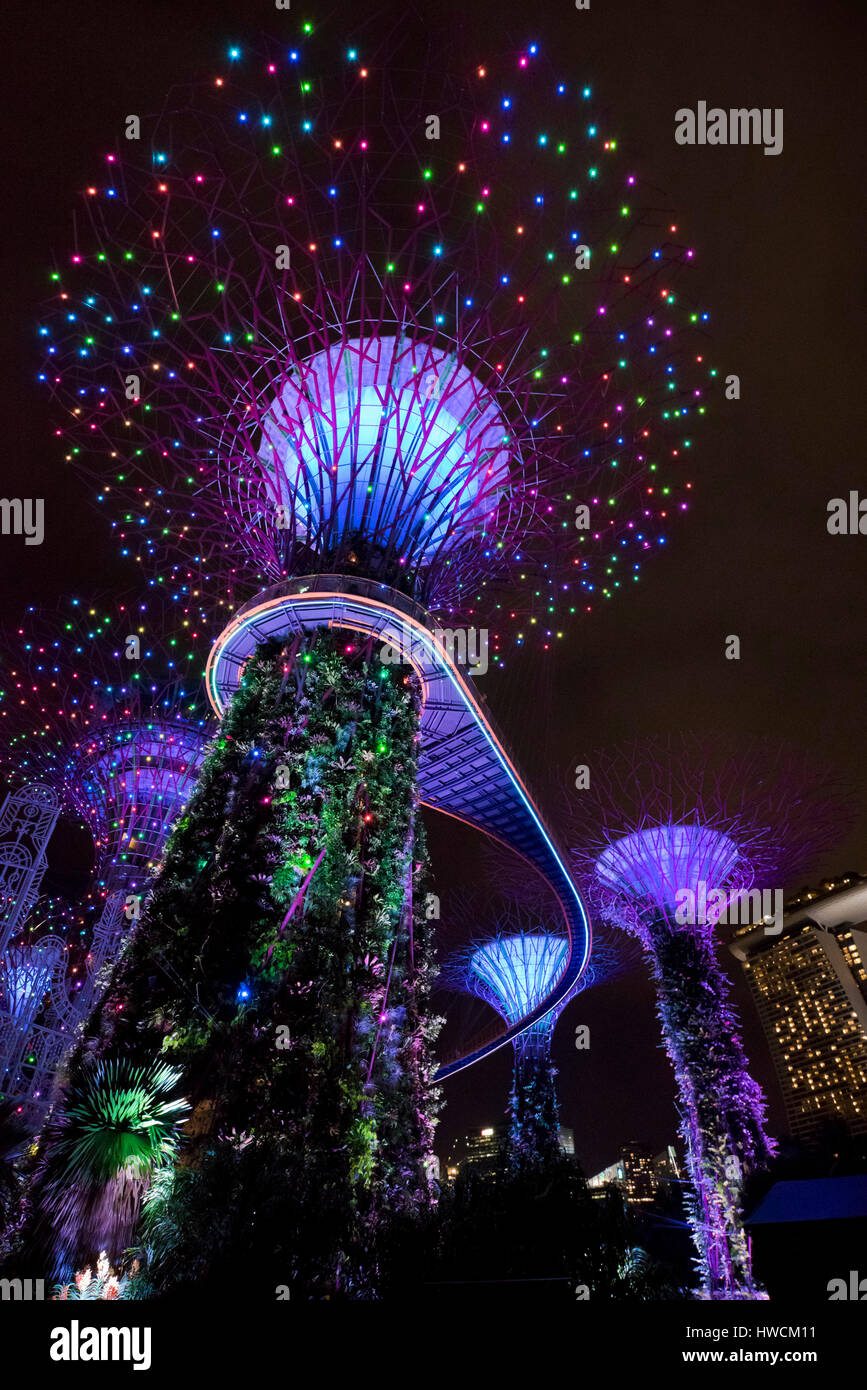 Vue verticale de l'OCBC Rhapsody Jardin spectacle léger à l'Supertrees à Singapour. Banque D'Images