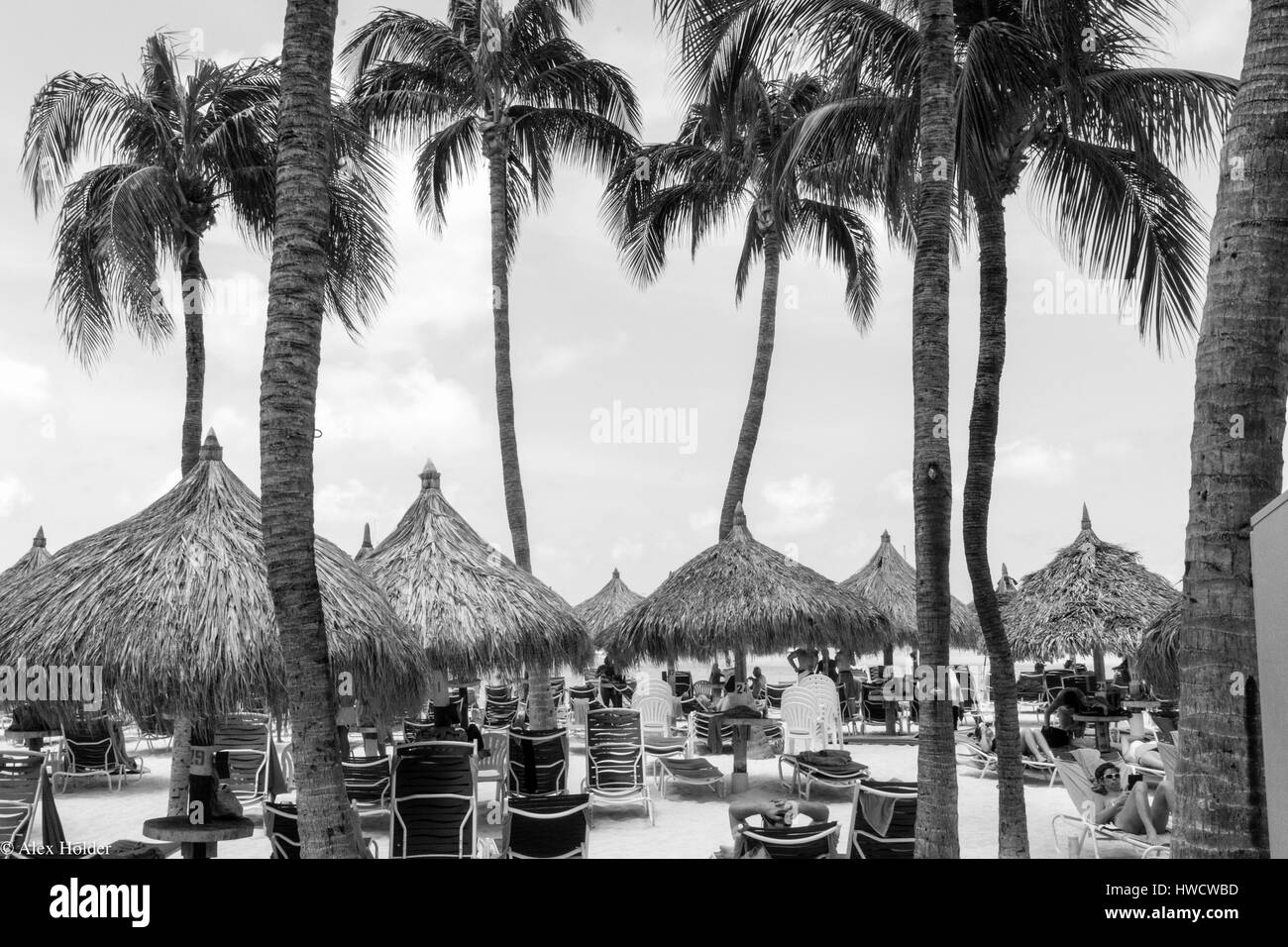 Plage d'Eagle à Aruba Banque D'Images