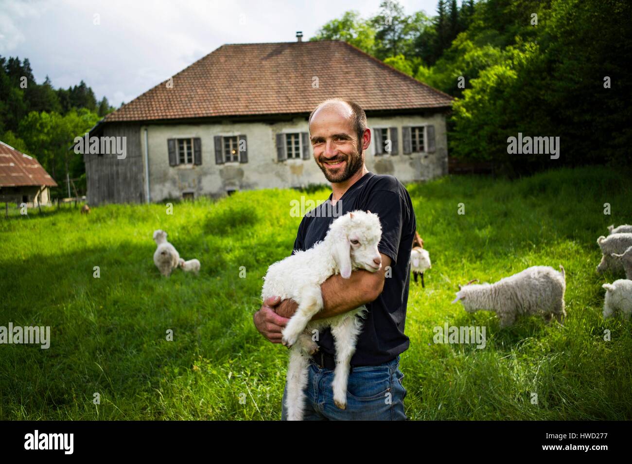 France, Savoie, le Chatelard, vallée des Bauges, hangar de chèvre et Galcieres Tannes, Cedric Bigoni Banque D'Images