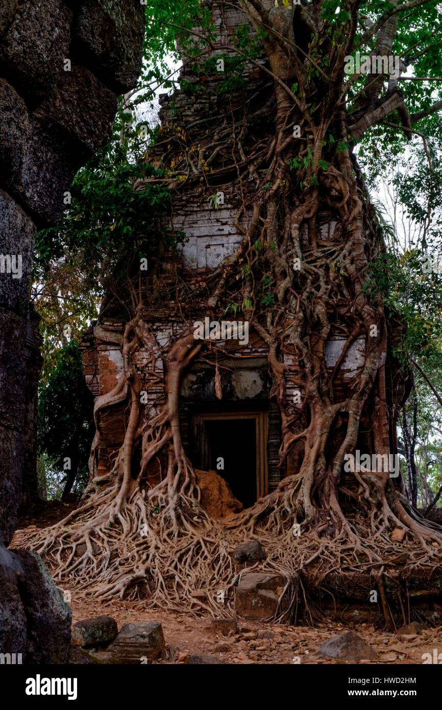 Cambodge, province de Preah Vihear, complexe de temples de Koh Ker, datée du 9 au 12 siècle, temple de Prasat Pram ou Prasat Bram Banque D'Images