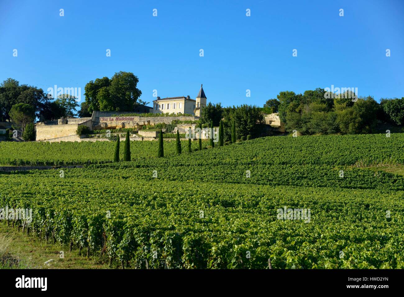 France, Gironde, Saint Emilion, paysage de la Saint Emilion vignobles ...