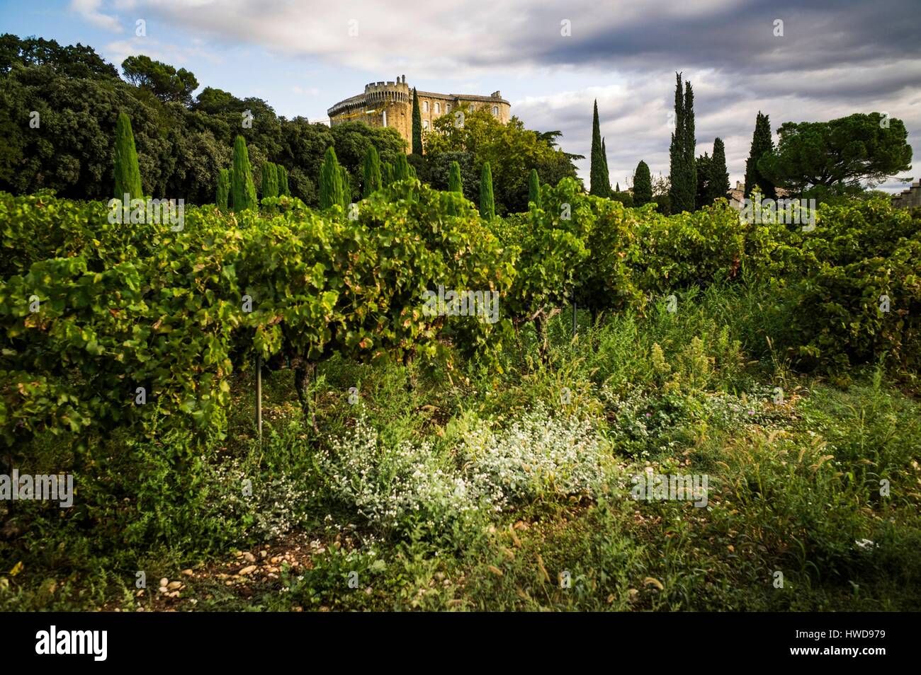 France, Drôme, Provence, Suze la Rousse, le château, vignoble academy Banque D'Images