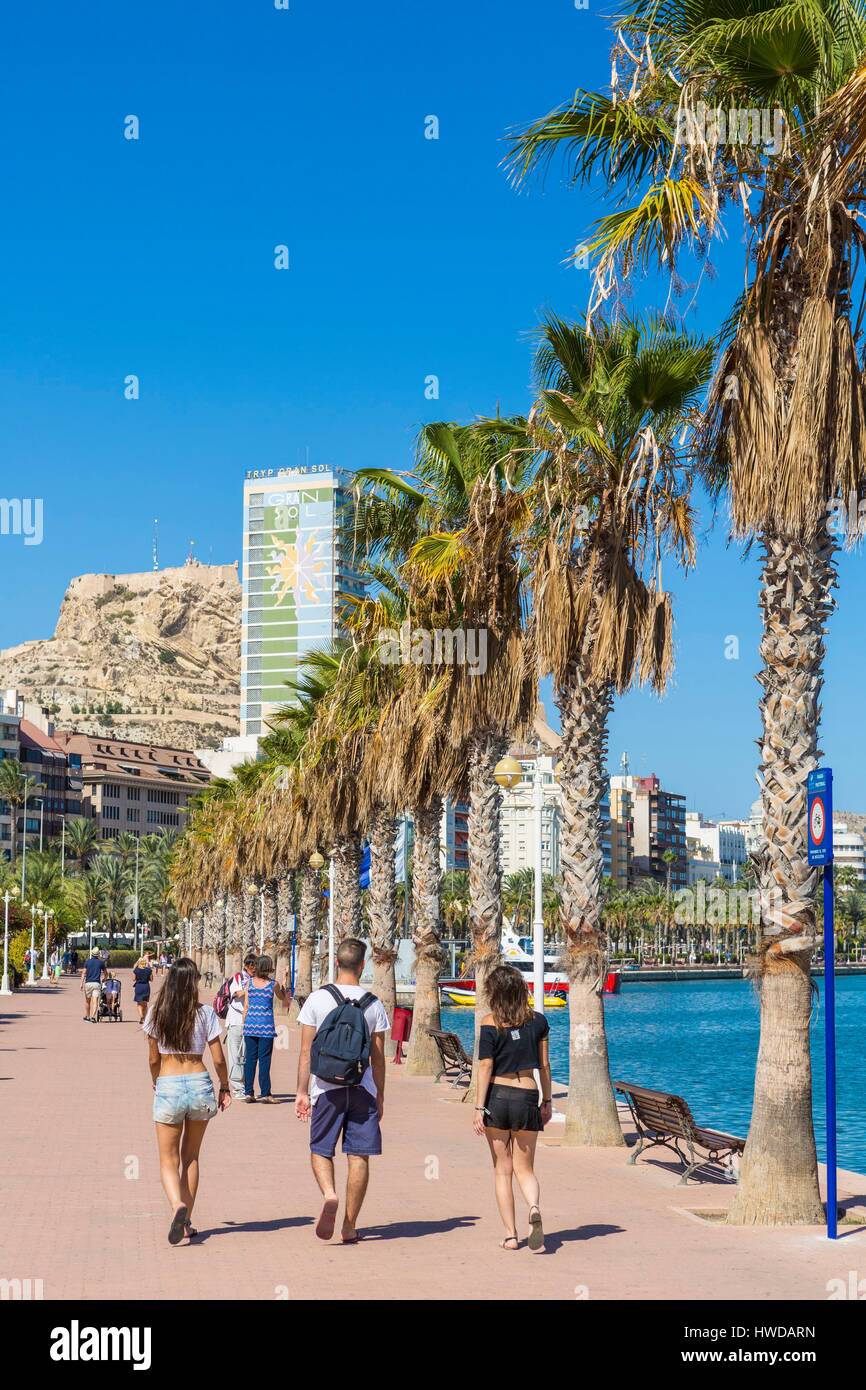 L'Espagne, Communauté Valencienne, Alicante, Avenida Conde de Vallellano  Photo Stock - Alamy