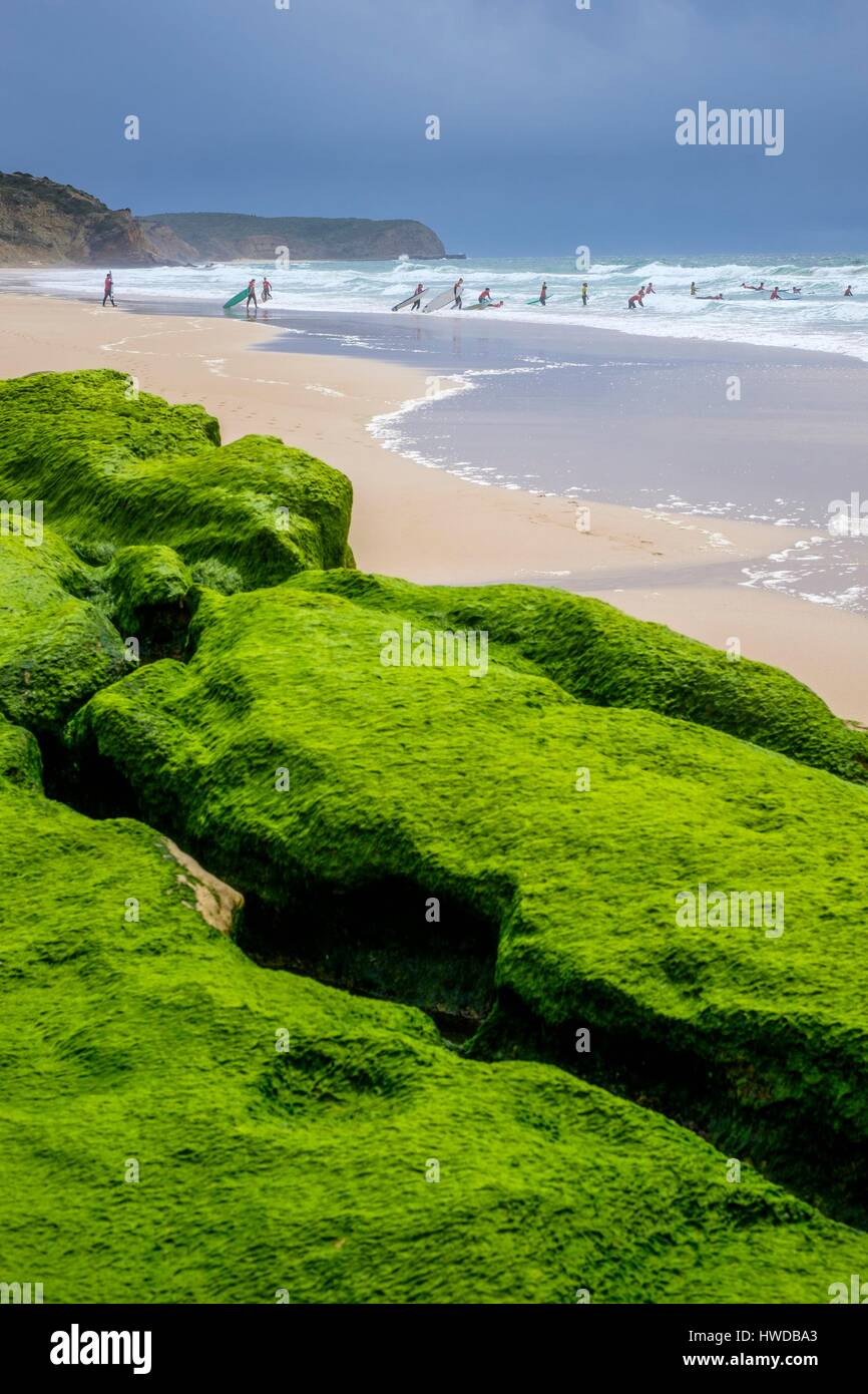 Le Portugal, l'Algarve, région au sud-ouest de l'Alentejo et le Parc Naturel de la Côte Vicentine, Vila do Bispo, Salema beach Banque D'Images