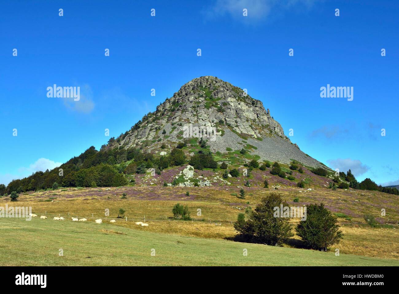 La France, l'Ardèche, le Mont Gerbier de Jonc (sources de la Loire — free download