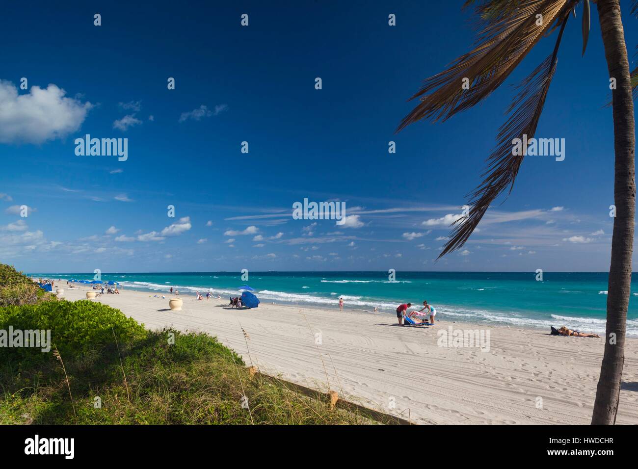 Hollywood Beach Banque De Photographies Et D images Haute R solution 