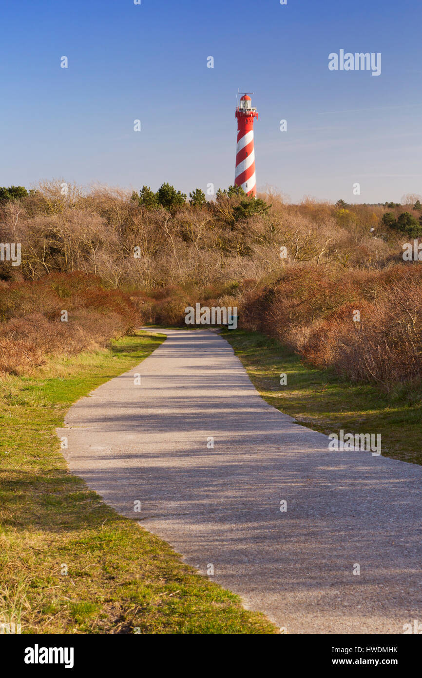 Le phare de Haamstede à la fin d'un chemin à travers les dunes en Zélande, aux Pays-Bas. Banque D'Images