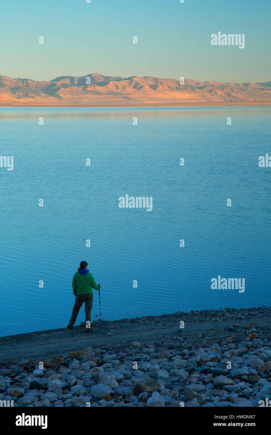 Grand Lac Salé, Antelope Island State Park, Utah Banque D'Images