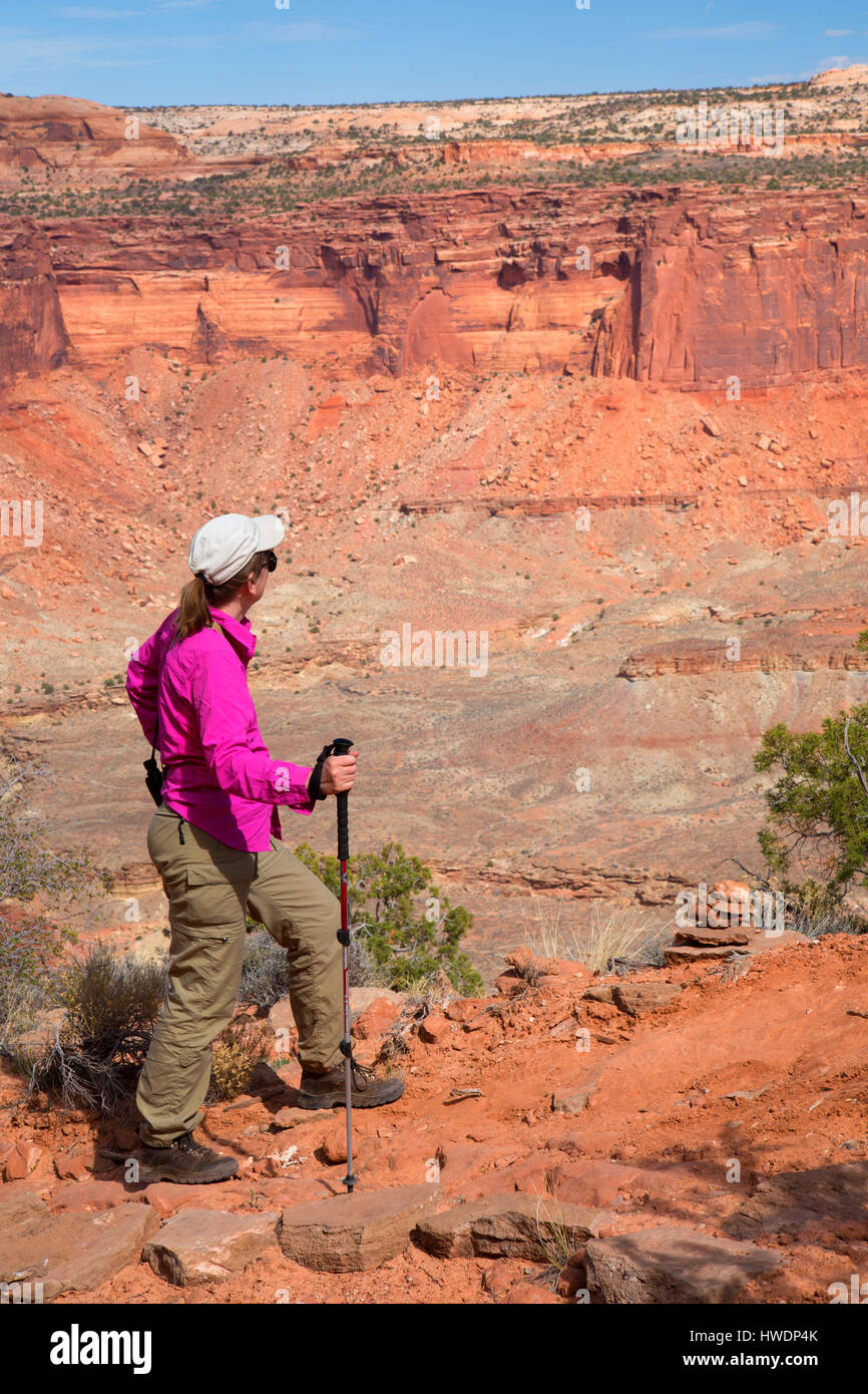 Alcove Spring Trail, Canyonlands National Park, Utah Banque D'Images