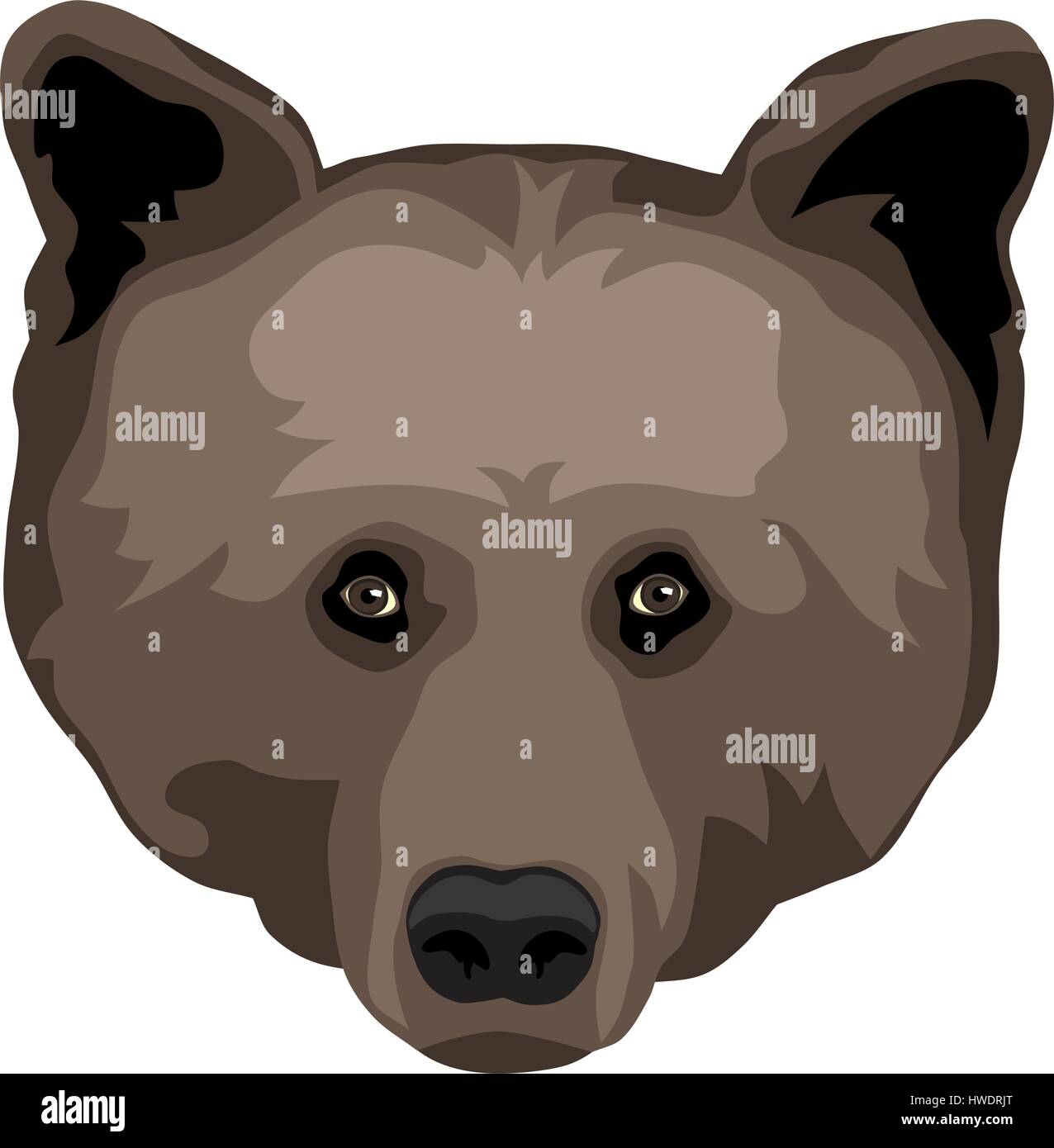 Vector illustration de Bear Head Vue avant Illustration de Vecteur