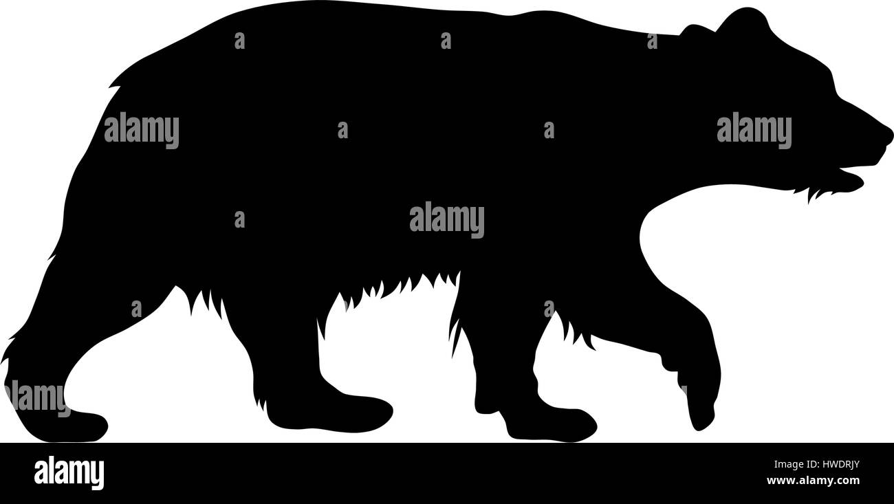 Vector illustration d'ours bruns silhouette Illustration de Vecteur