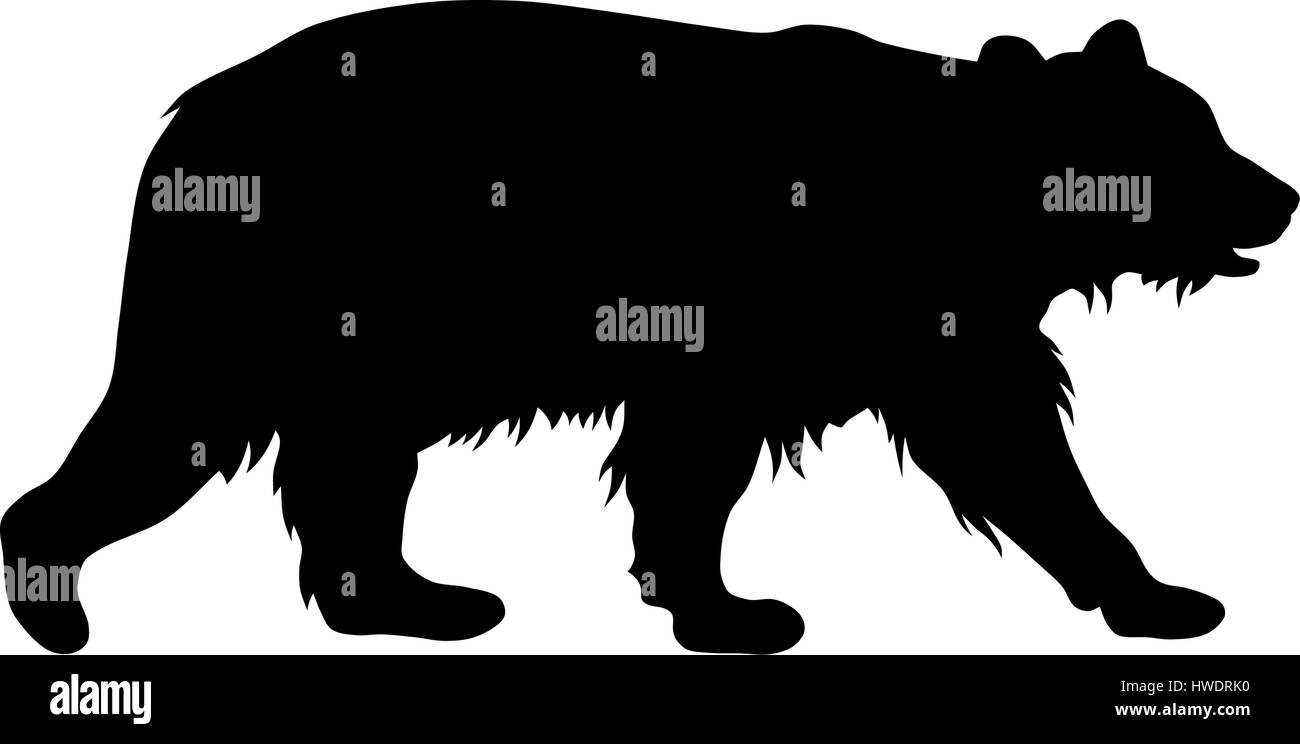 Vector illustration d'ours bruns silhouette Illustration de Vecteur