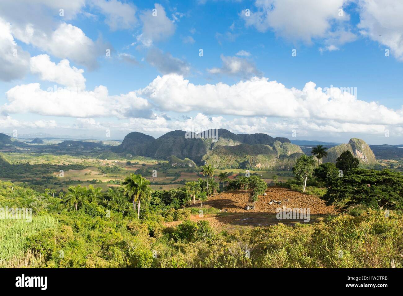 Cuba, province de Pinar del Rio, Vinales Vinales, Parc National, Vallée de Vinales classée au Patrimoine Mondial de l'UNESCO, la partie des mogotes de la chaîne de montagnes Guaniguanico Banque D'Images