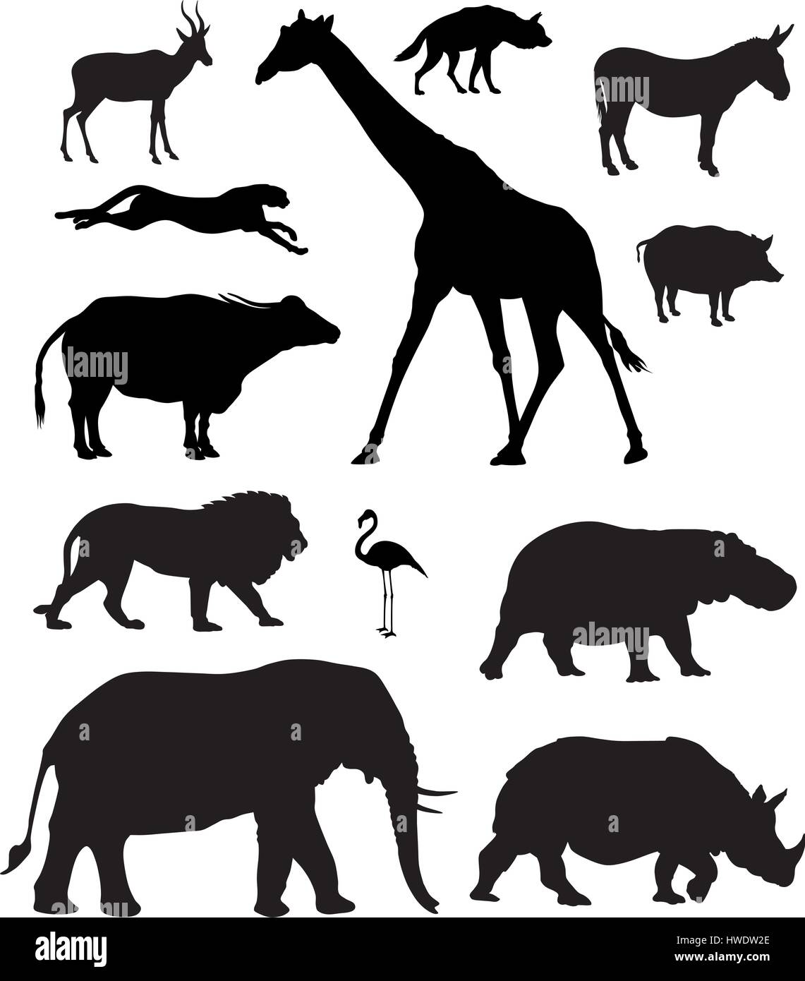 Vector illustration de divers animaux d'afrique Illustration de Vecteur