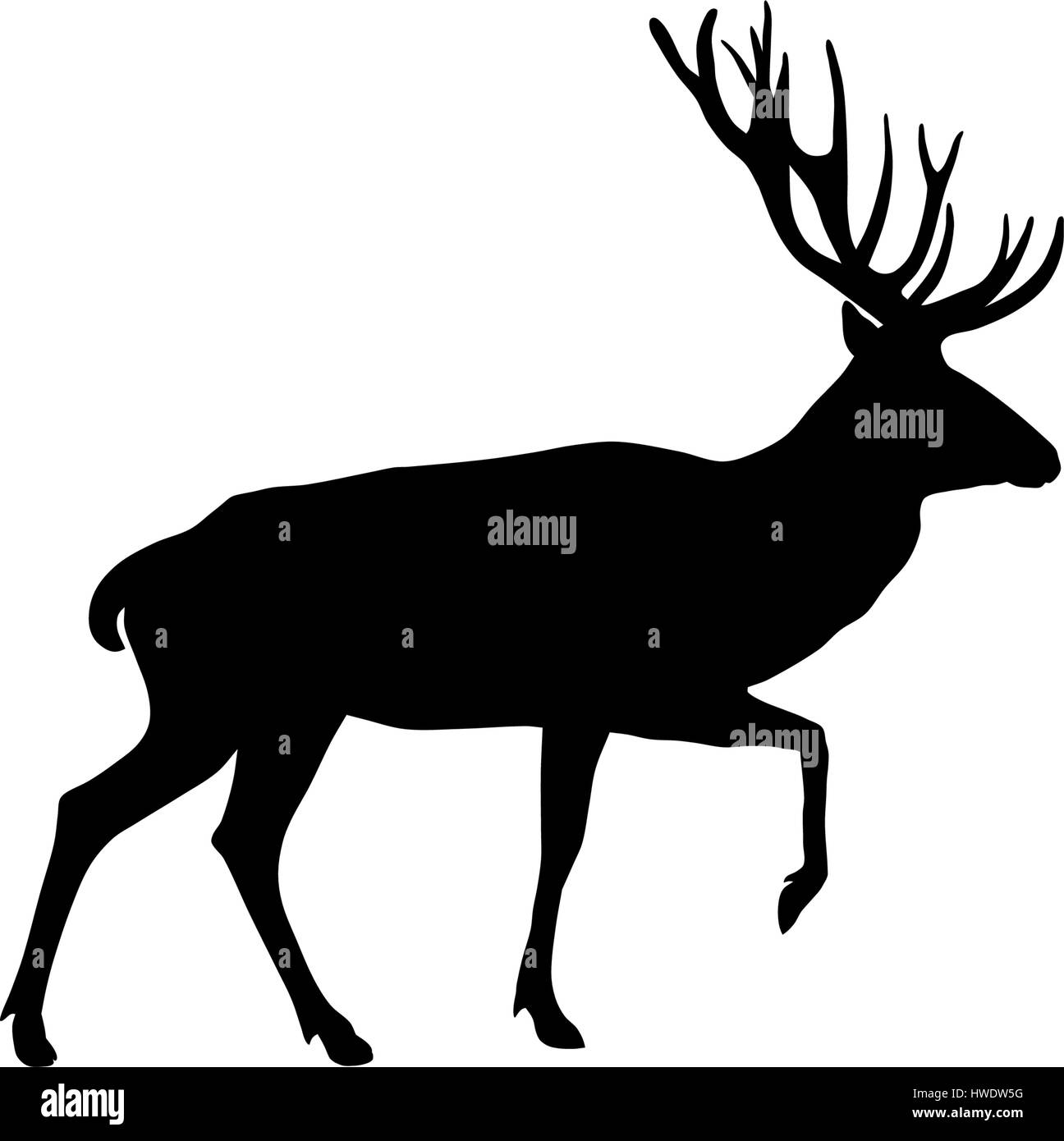 Vector illustration of deer silhouette Illustration de Vecteur