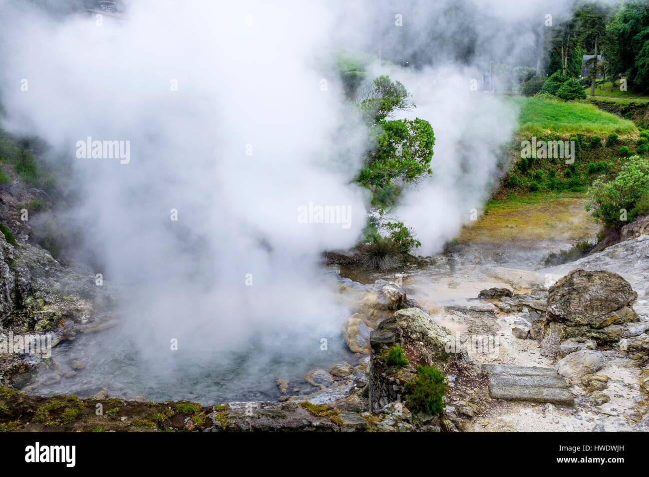 Le Portugal, l'archipel des Açores, l'île de São Miguel, Furnas, complexe volcanique active avec 22 sources thermales et de nombreux sites de fumerolles Banque D'Images