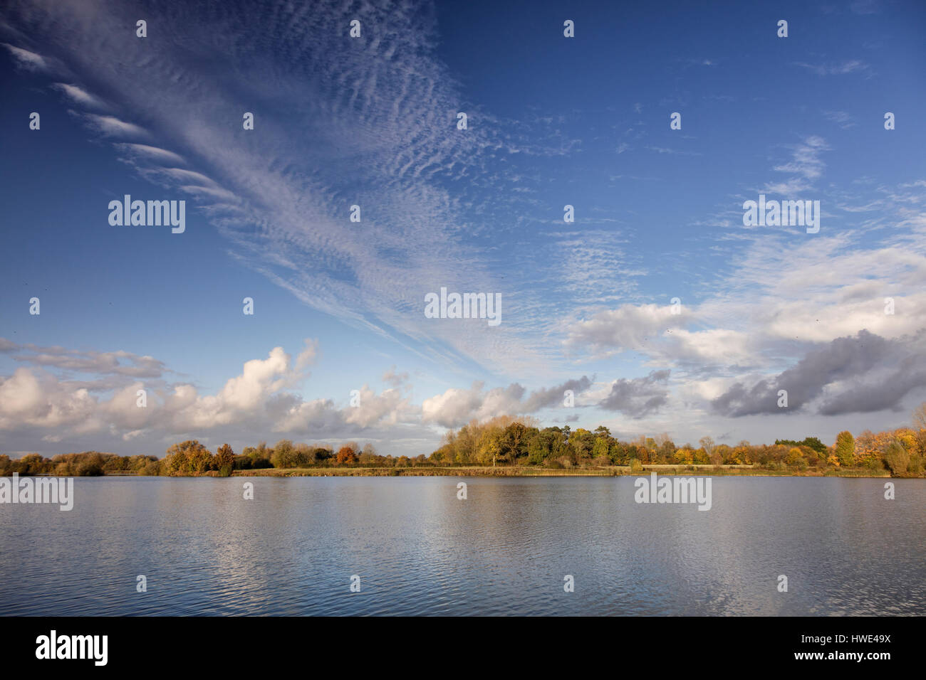 Feuillage d'automne et la couleur sur les rives du Lac 21 près de Ashton Keynes dans les Cotswold Water Park. Banque D'Images