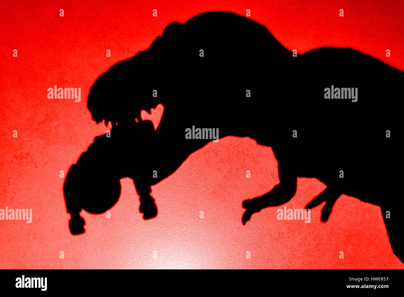 Ombre de tyrannosaurus mordant un corps sur le mur en rouge close up aucun logo ou marque déposée Banque D'Images