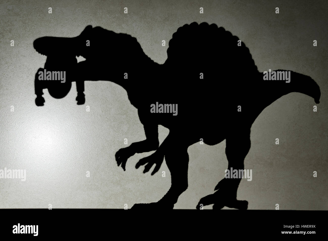 Ombre de spinosaurus de mordre un corps sur mur pas un logo ou d'une marque Banque D'Images