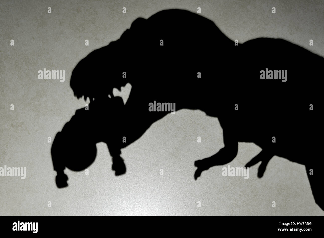 Ombre de tyrannosaurus mordant un corps sur le mur close up aucun logo ou marque déposée Banque D'Images