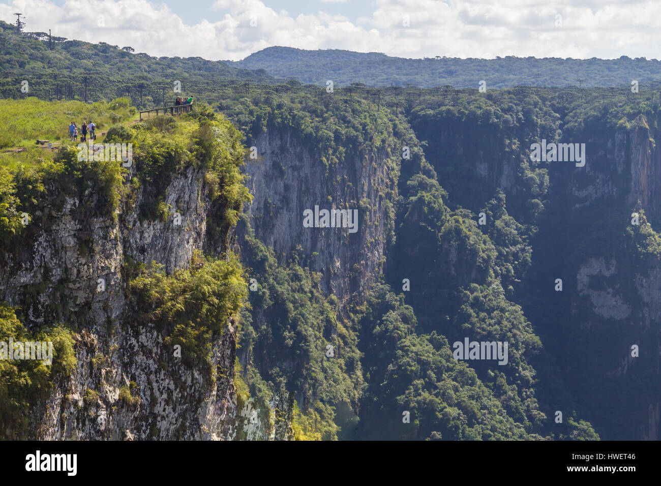 Sentier à Canyon Itaimbezinho, Cambara do Sul, Rio Grande do Sul, Brésil Banque D'Images