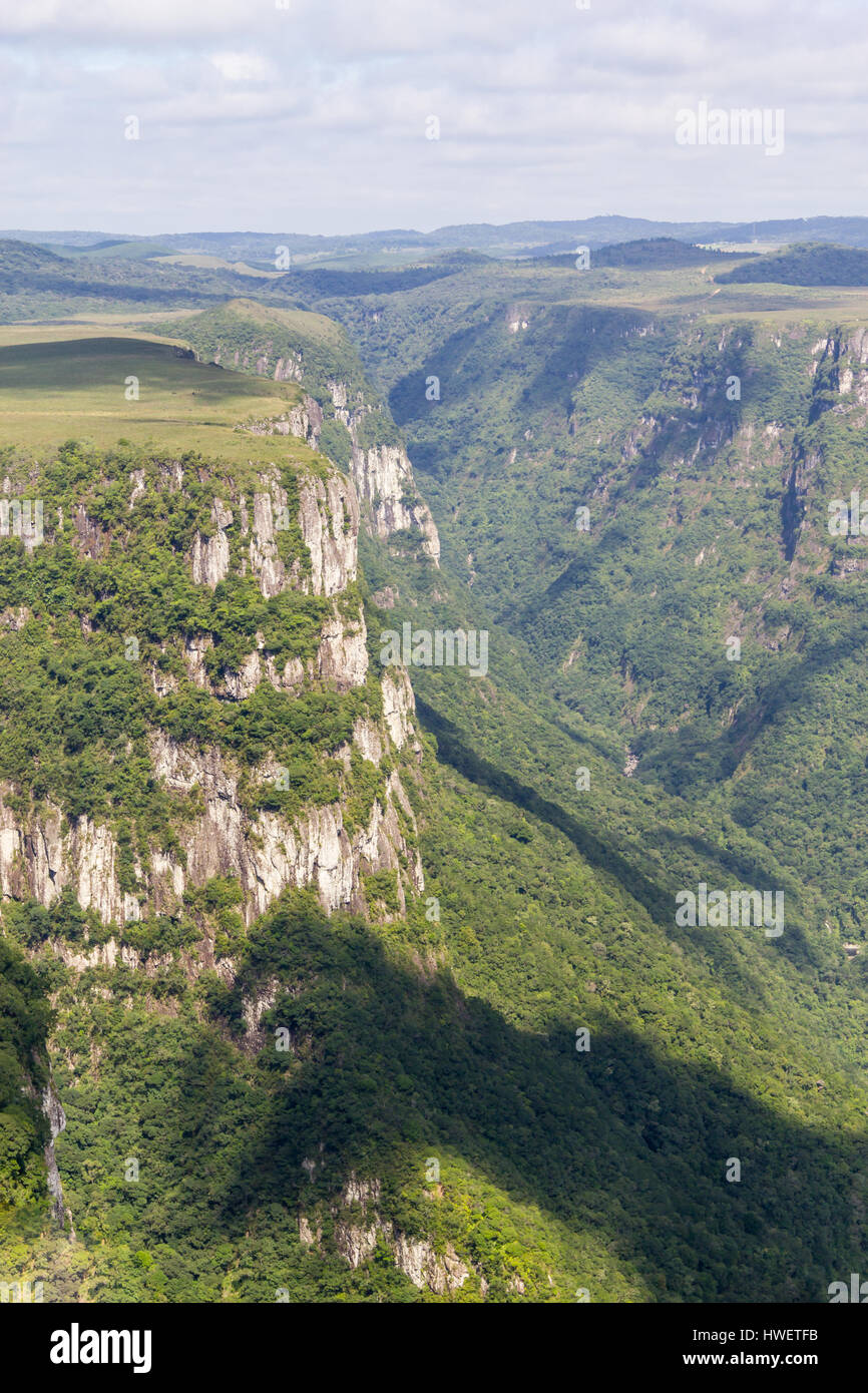 Cliffs à Fortaleza Canyon, Cambara do Sul, Rio Grande do Sul, Brésil Banque D'Images