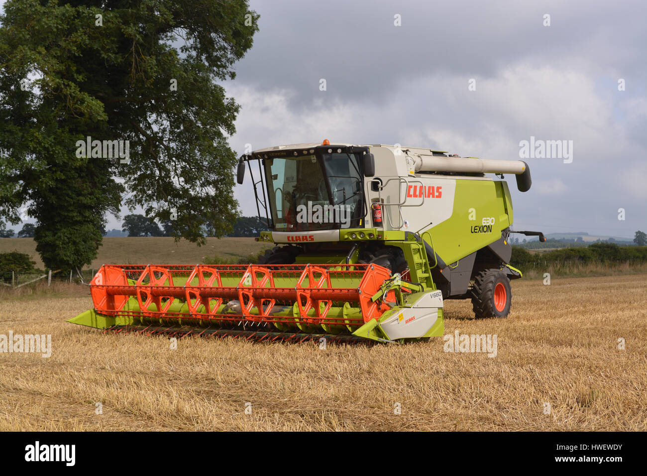Rendmt Lexion moissonneuse-batteuse Claas 630 Banque D'Images