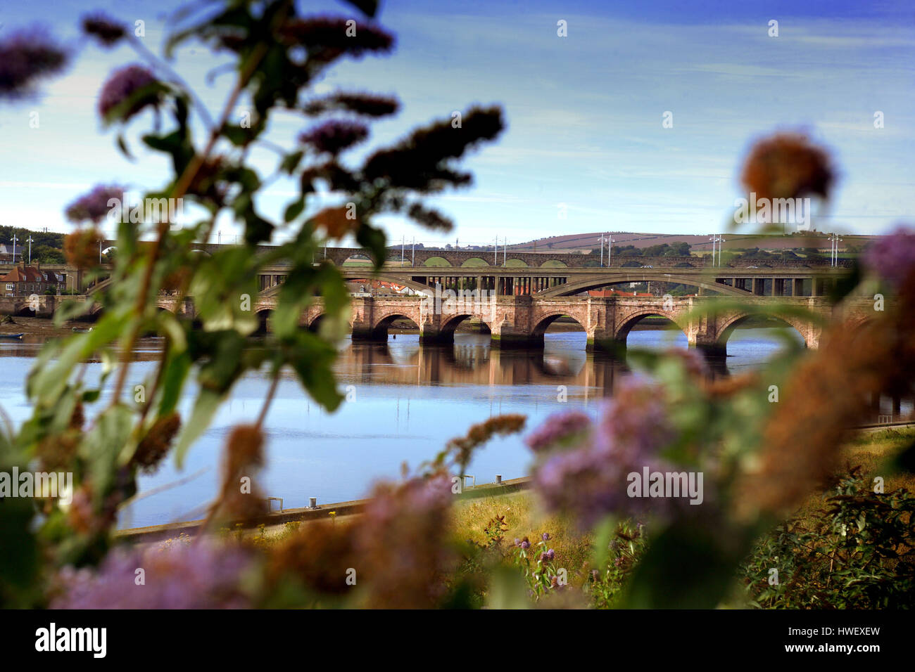 Ponts sur la rivière Tweed, Berwick Banque D'Images