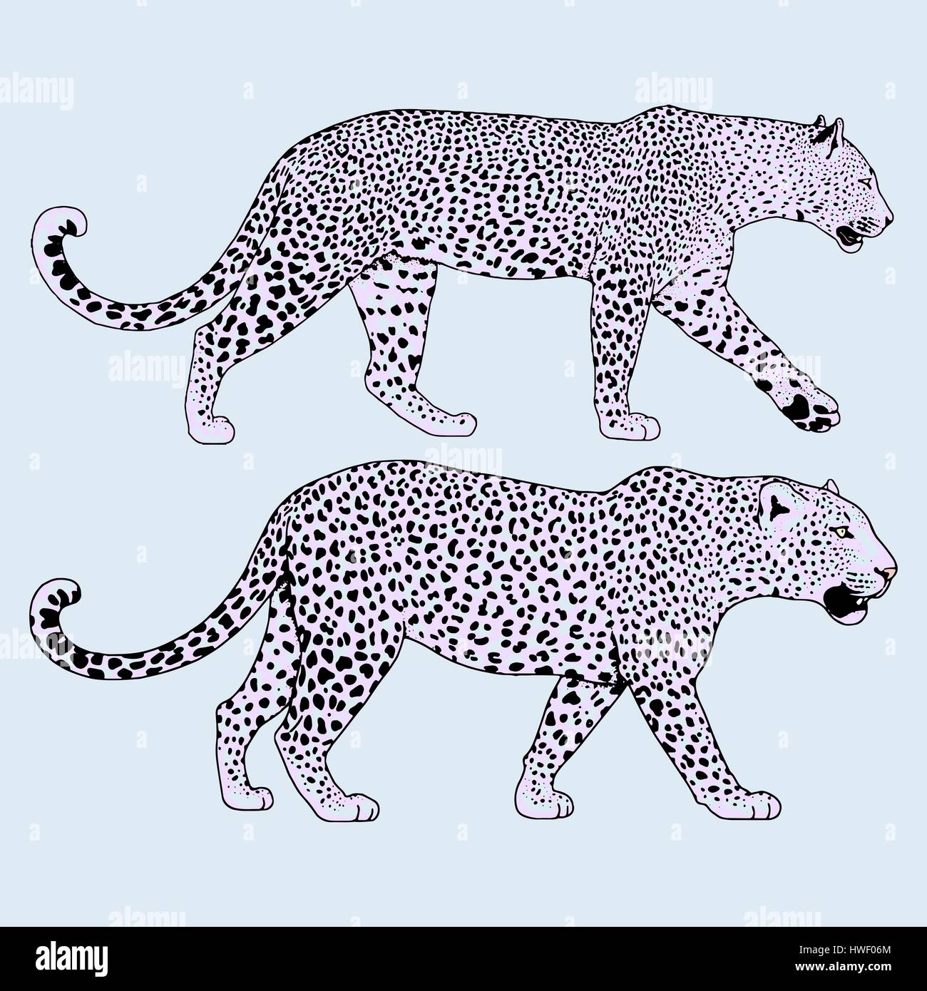 Leopard tattoo face ,Vector illustration, d'impression Illustration de Vecteur