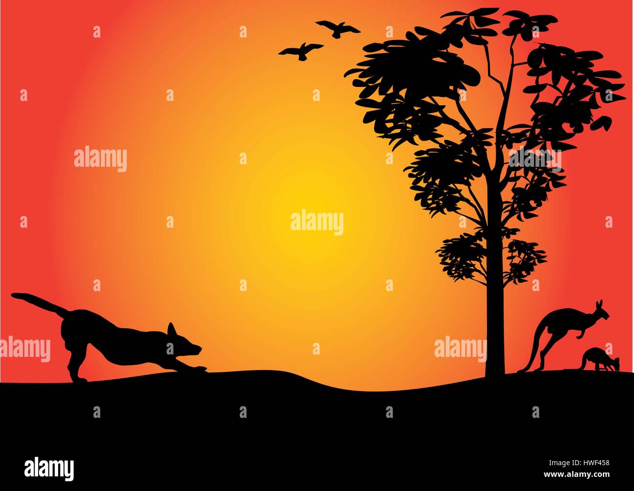 Australian Outback avec dingo des étirements et de kangourous Illustration de Vecteur