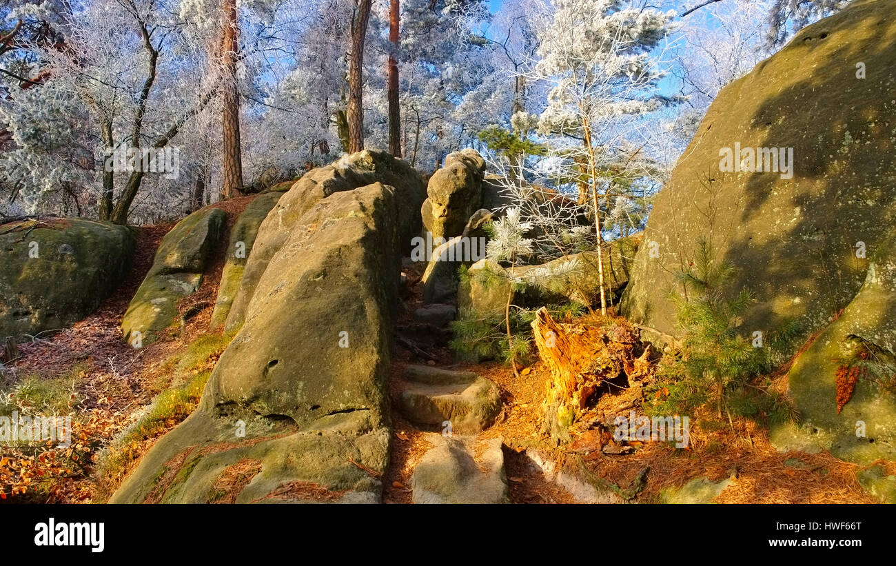 Wanderweg im Elbsandsteingebirge - sentier de randonnée dans les montagnes de grès de l'Elbe à l'automne Banque D'Images