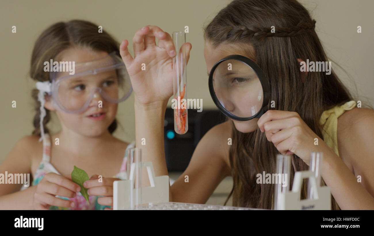 Étudiants curieux examining test tube avec loupe dans science laboratory experiment Banque D'Images