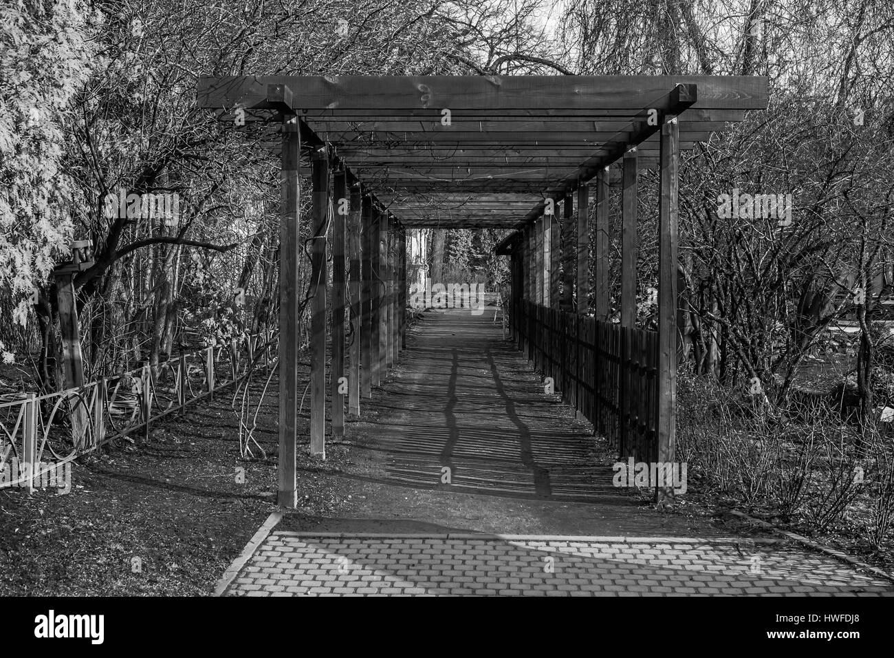 Tunnel en bois arch Saint Petersburg Botanical garden, noir et blanc Banque D'Images Tunnel en bois arch Saint Petersburg Botanical garden, noir et blanc Banque D'Images