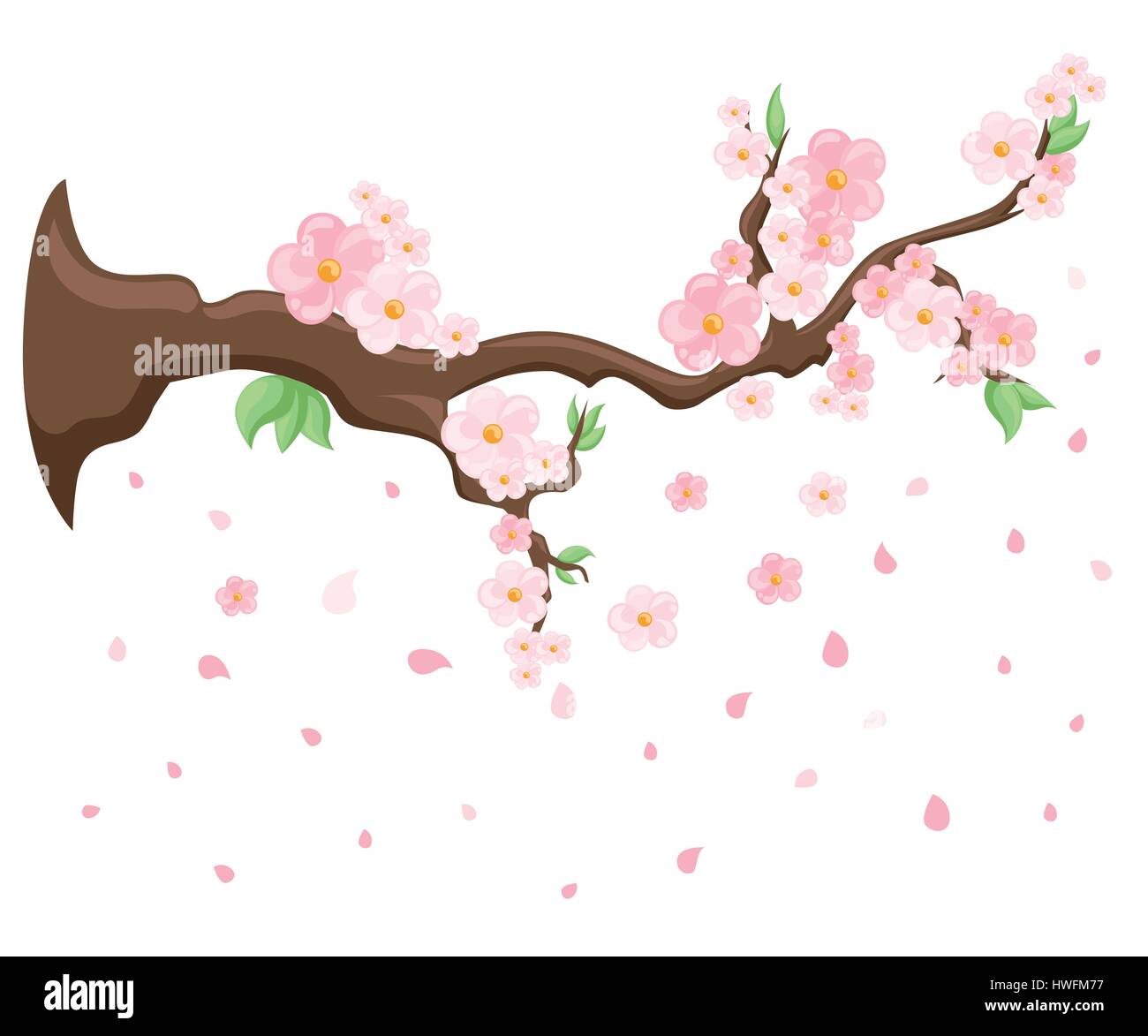 Floraison rose de sakura. Japanese Cherry Tree. Branches de fleurs Décoration vectorielle, printemps télévision style design vector illustration. Illustration de Vecteur