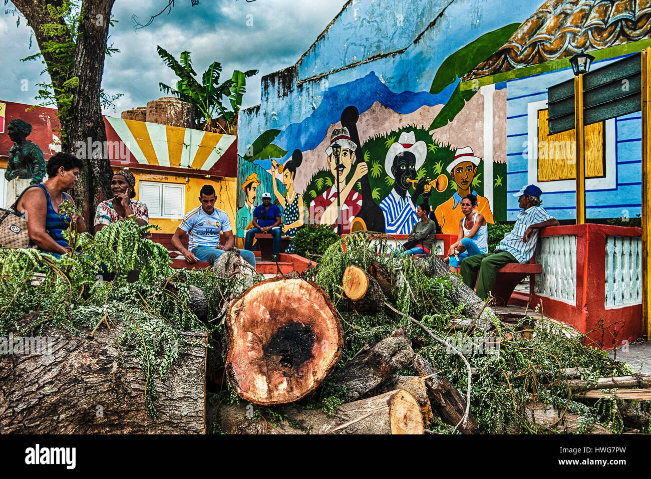 Les troncs d'arbres tombés dans un carré de Baracoa, Cuba, après le passage de l'ouragan Matthew Banque D'Images